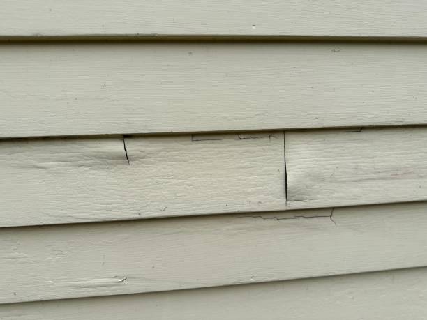 Best Siding for Multi-Family Homes  in Anton, TX